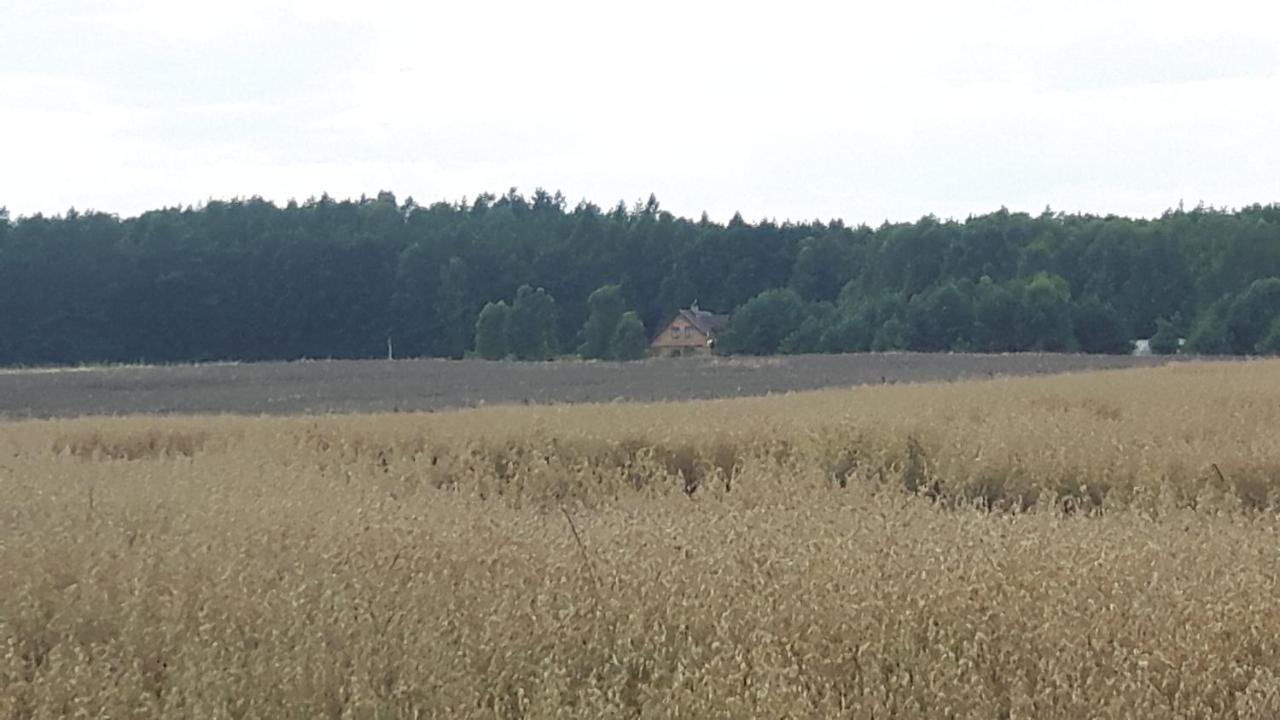 Winnica Debogora Dobiegniew Dış mekan fotoğraf