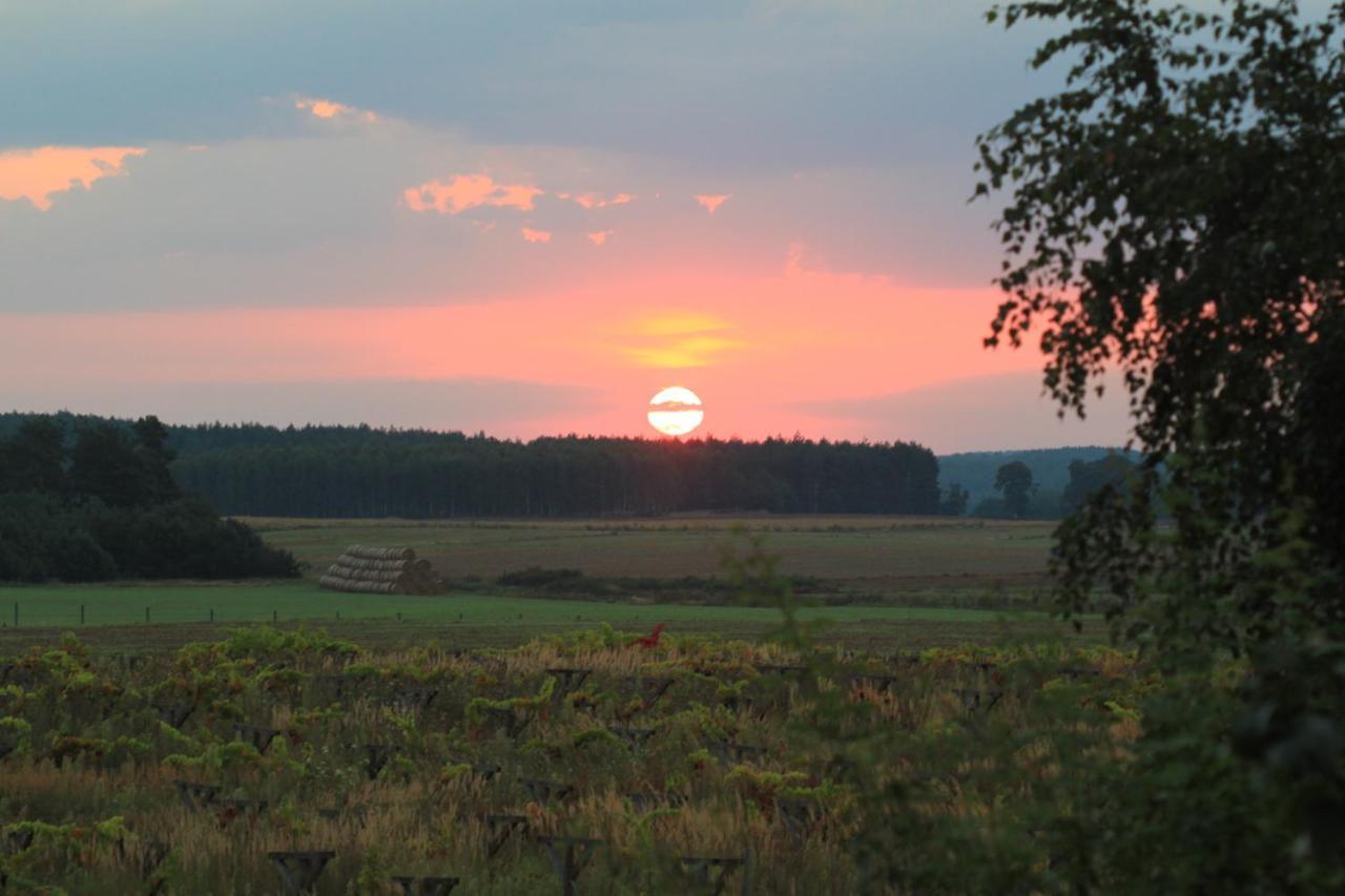 Winnica Debogora Dobiegniew Dış mekan fotoğraf